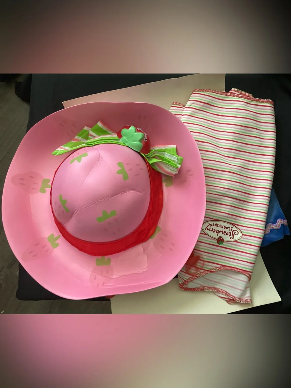 Strawberry Shortcake Cartoon Character Complete Dress Up Halloween Child Costume
